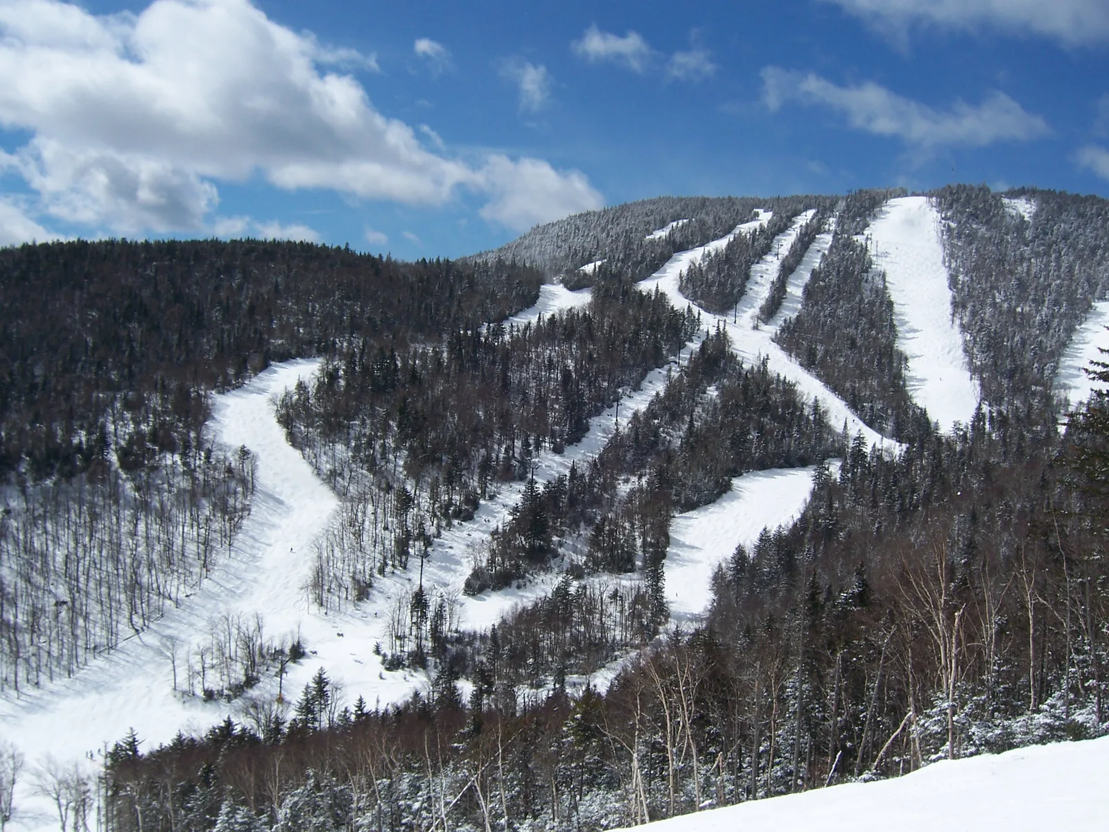 The summit of Gore Mountain seen from the Uncas trail, ski runs cut through the forest under a blue sky